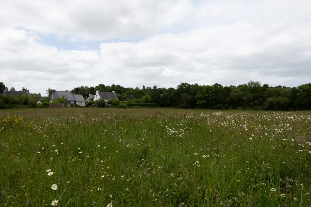 Prairie ensoleillée en Bretagne, terrain agricole non viabilisé
